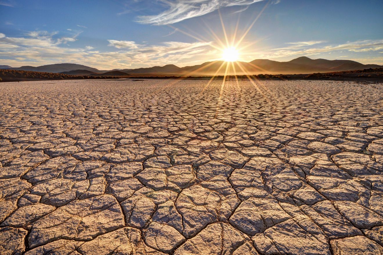 The Best Ingredients for Guys with Dry Skin